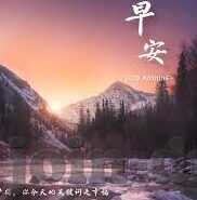 多多28