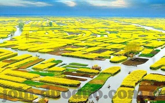 足球买比分怎么玩-足球买比分玩法全解析，从入门到精通